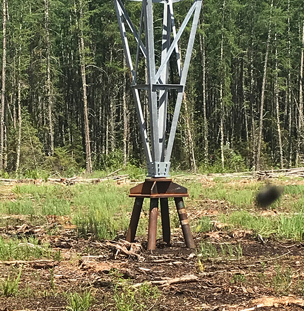 Power Transmission Foundations